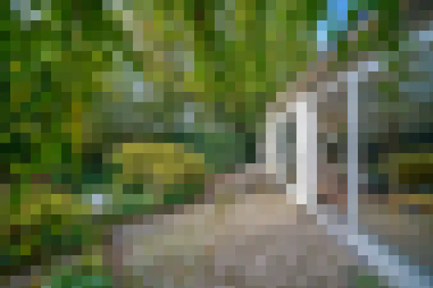 Blekerij 50 Maastricht thumbnail 8