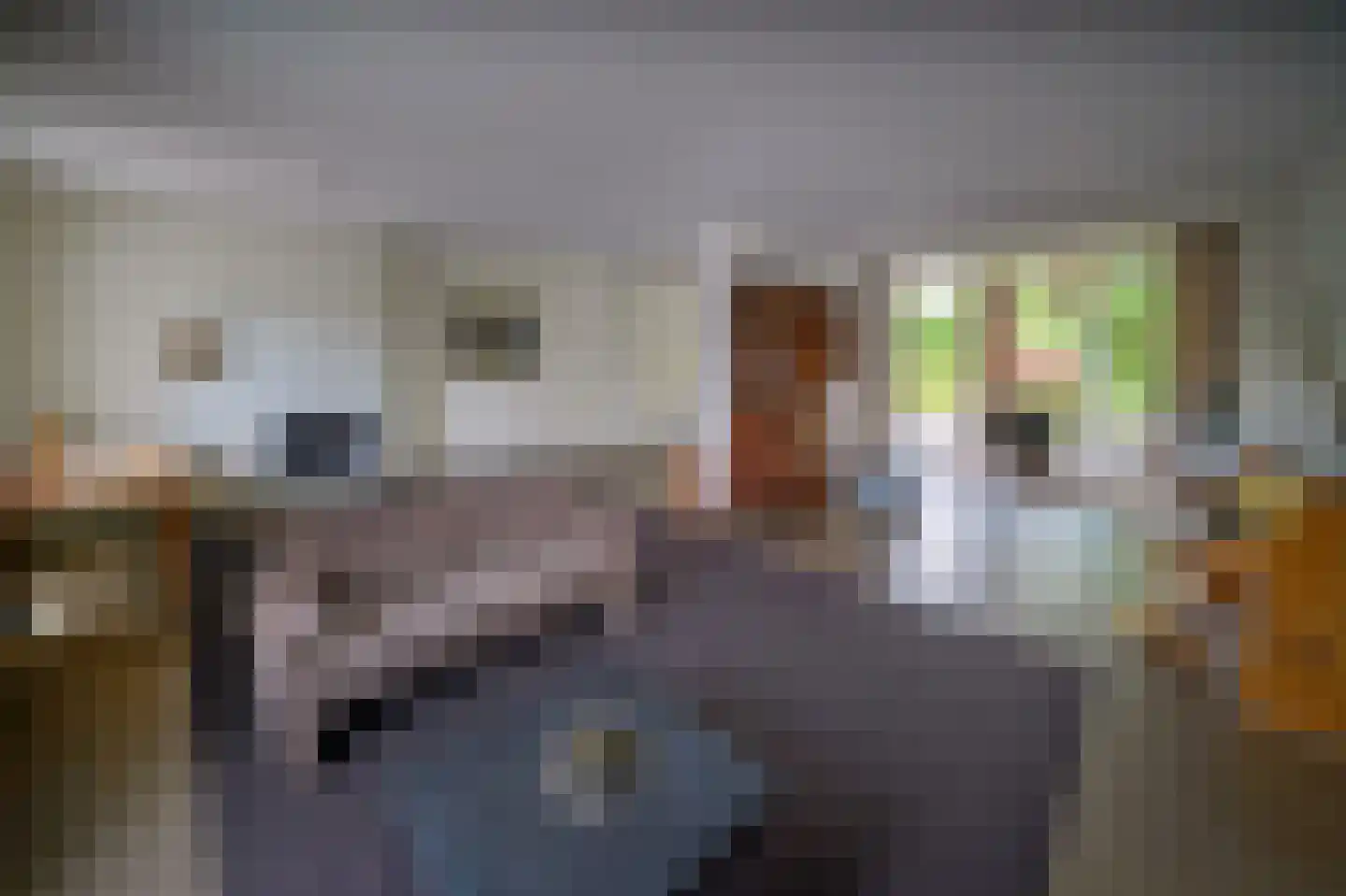 Blekerij 50 Maastricht thumbnail 8