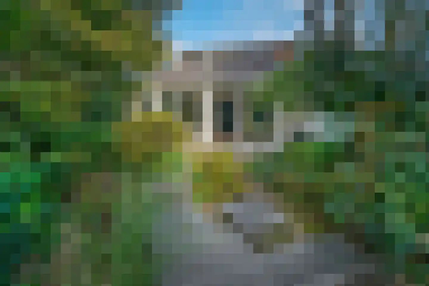 Blekerij 50 Maastricht thumbnail 9