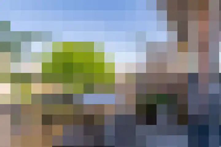 Blekerij 51 Veenendaal thumbnail 11