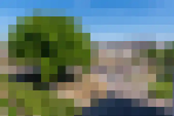 Blekerij 51 Veenendaal thumbnail 12