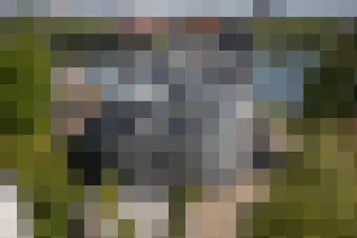 Blekerij 52 A Maastricht thumbnail 15