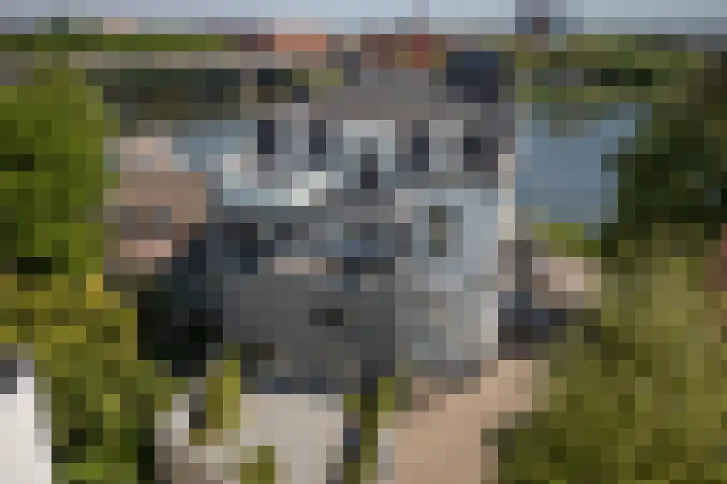 Blekerij 52 A Maastricht thumbnail 19