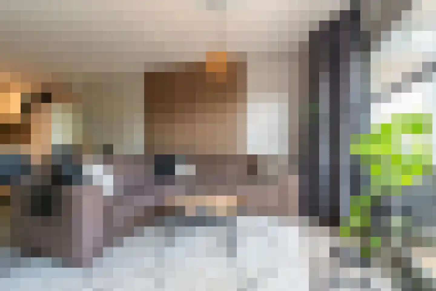 Blekerij 57 Veenendaal thumbnail 5