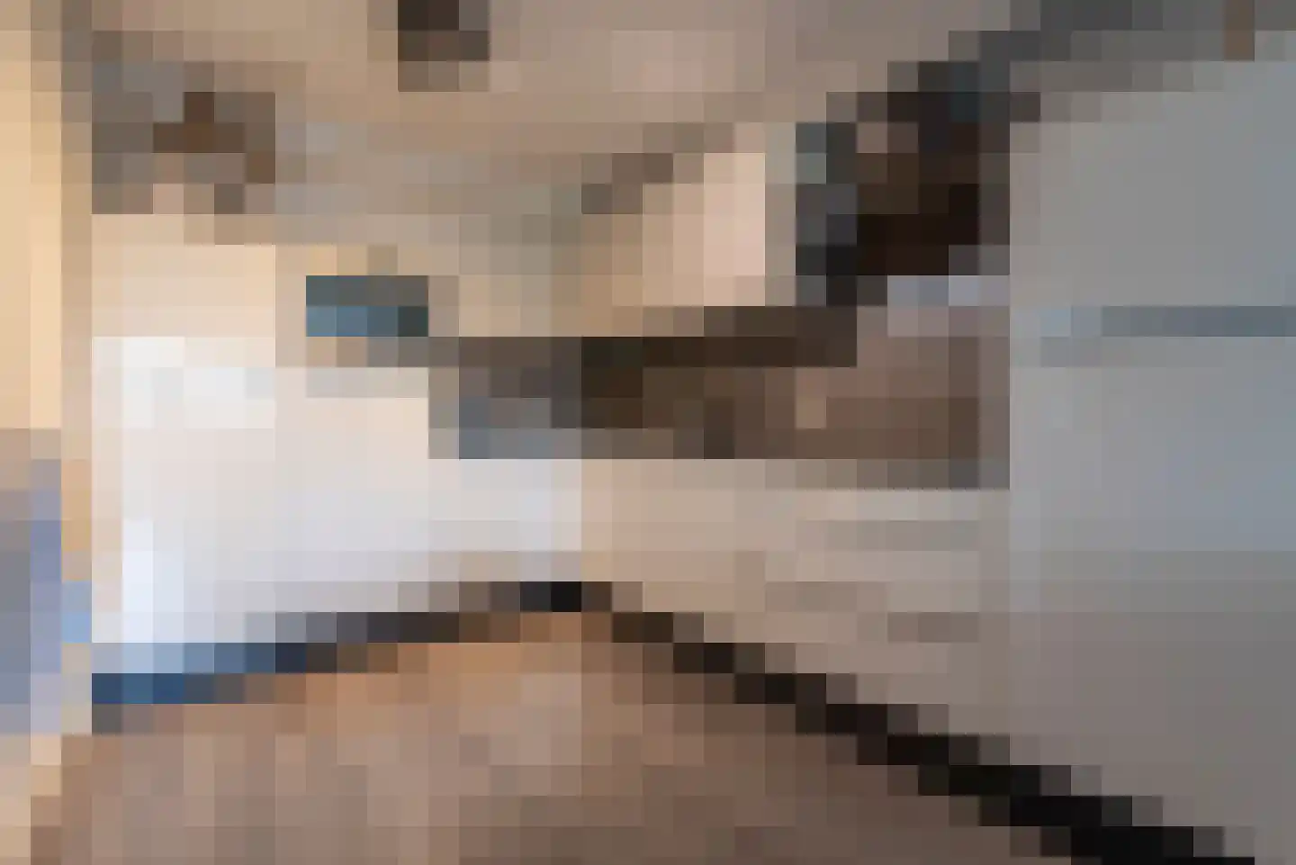 Blekerij 57 Veenendaal thumbnail 9