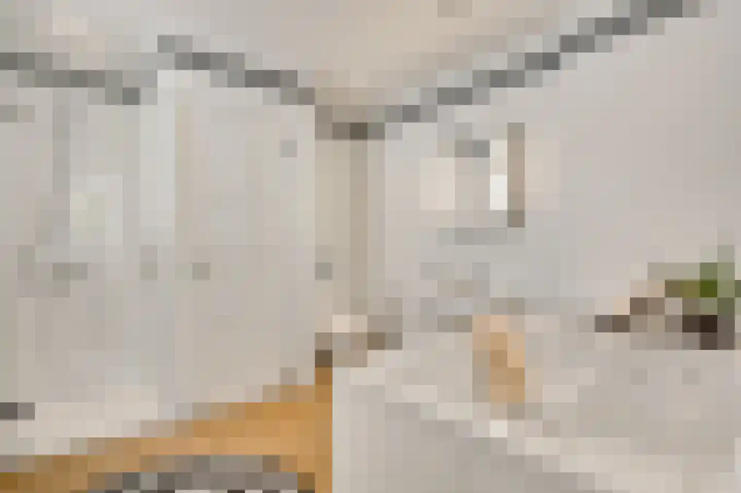 Blekerij 64 Maastricht thumbnail 13
