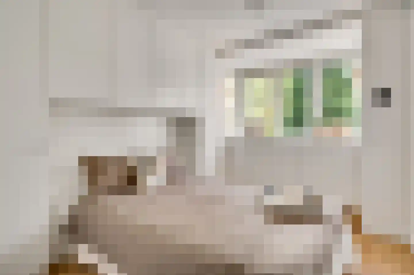 Blekerij 64 Maastricht thumbnail 14