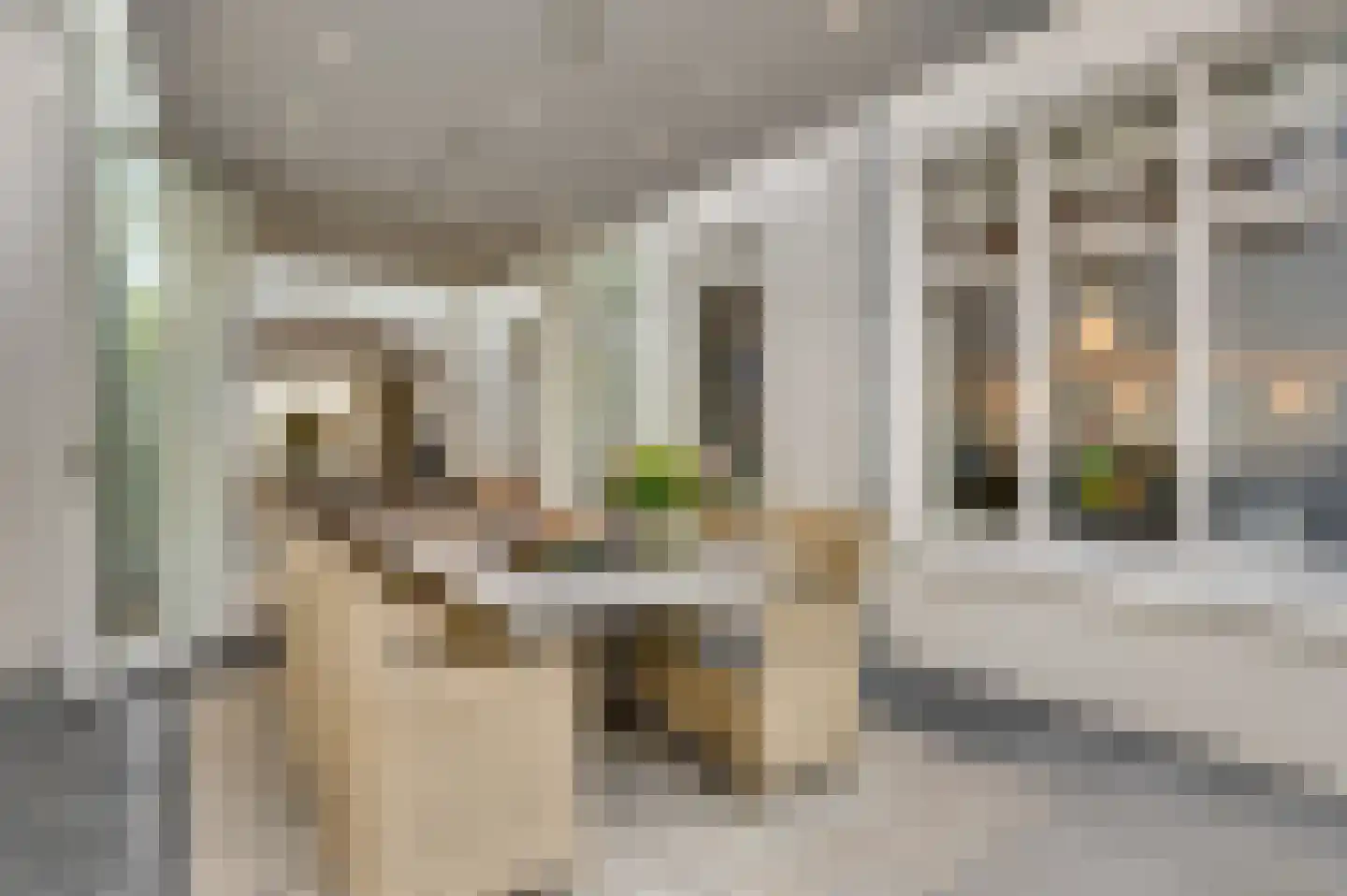Blekerij 64 Maastricht thumbnail 20