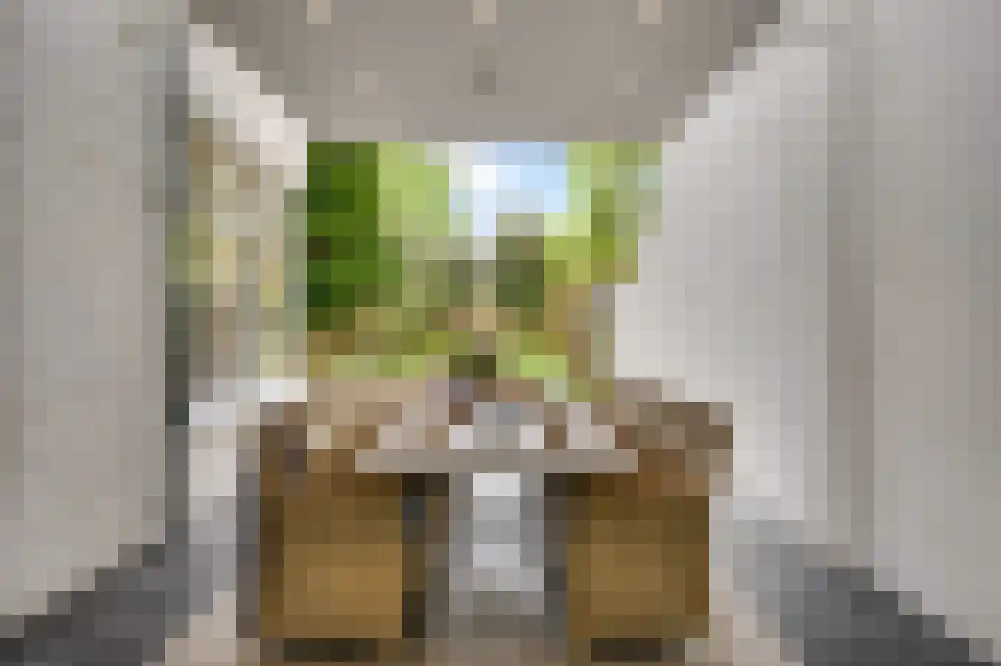 Blekerij 64 Maastricht thumbnail 21