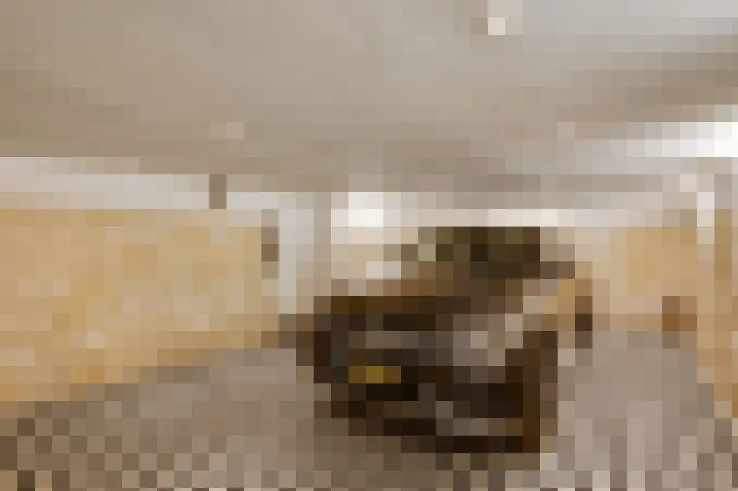 Blekerij 64 Maastricht thumbnail 28