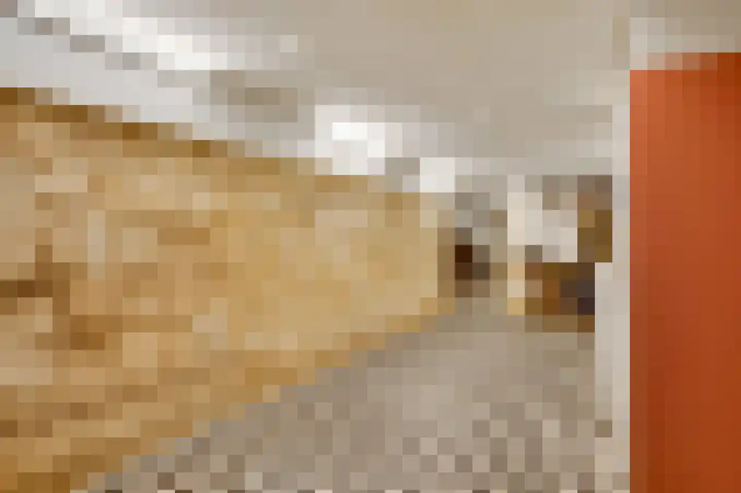 Blekerij 64 Maastricht thumbnail 31