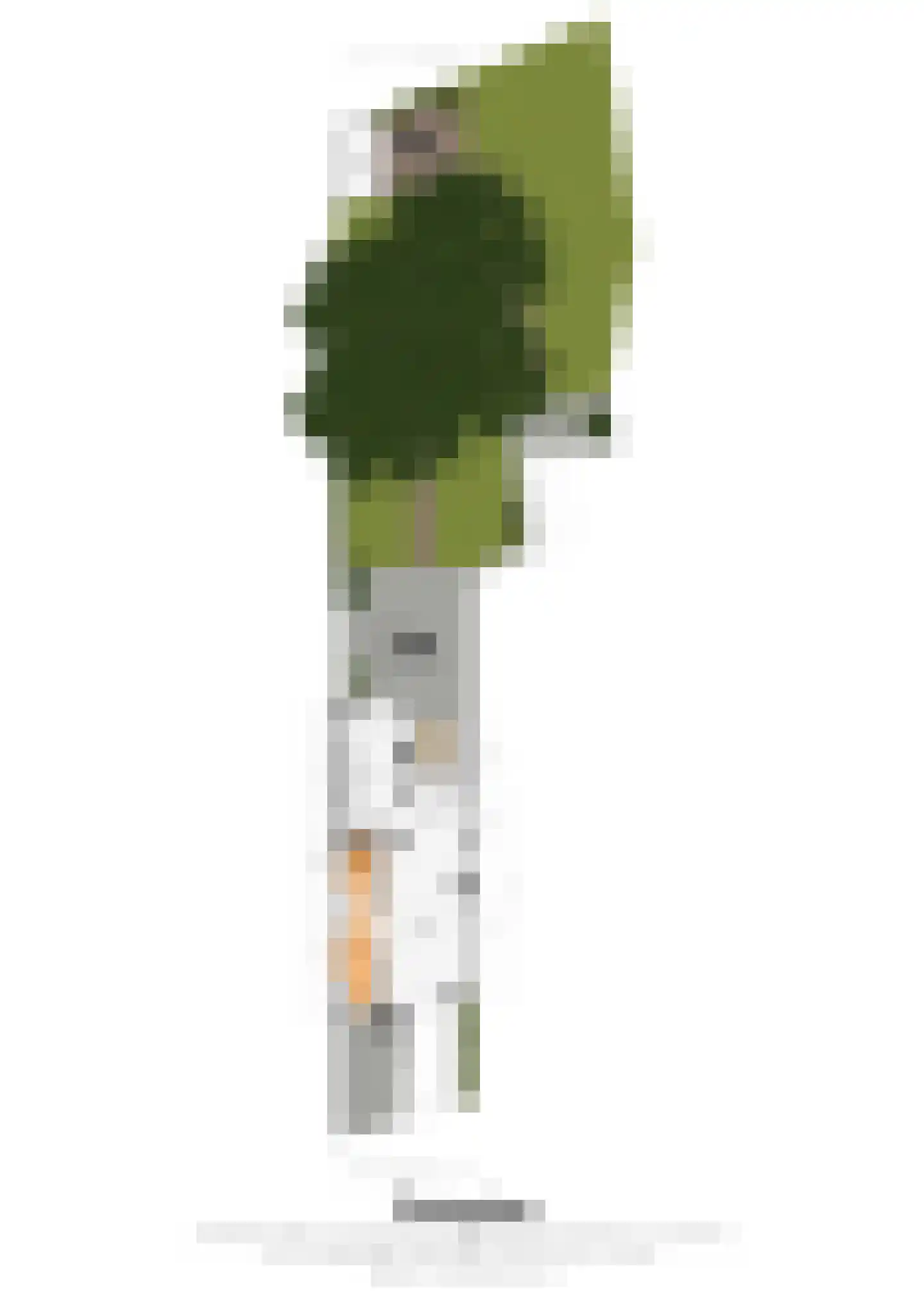 Blekerij 64 Maastricht thumbnail 33