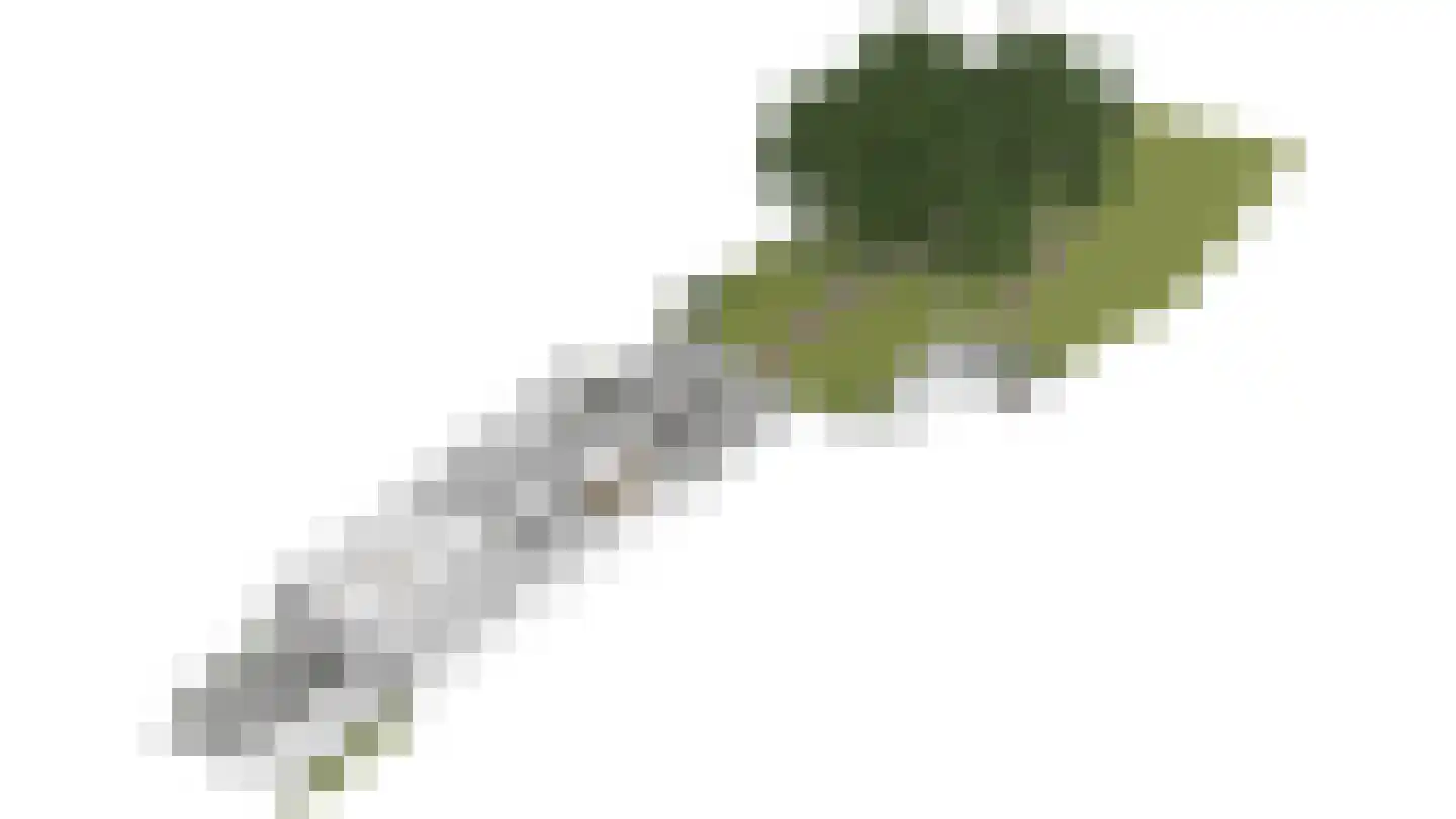 Blekerij 64 Maastricht thumbnail 34