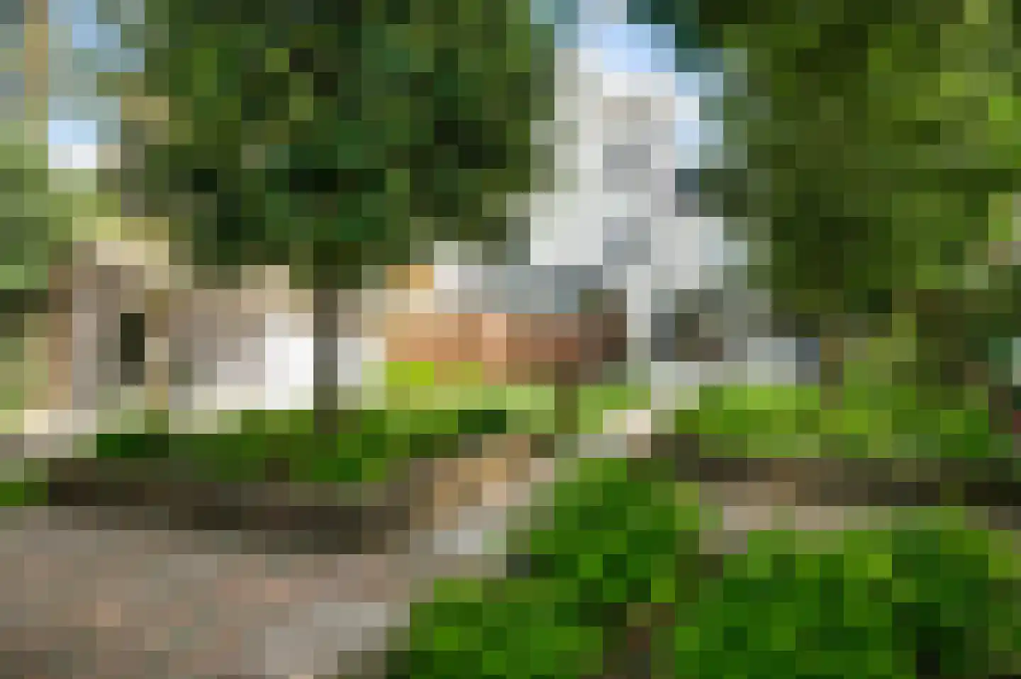 Blekerij 64 Maastricht thumbnail 4