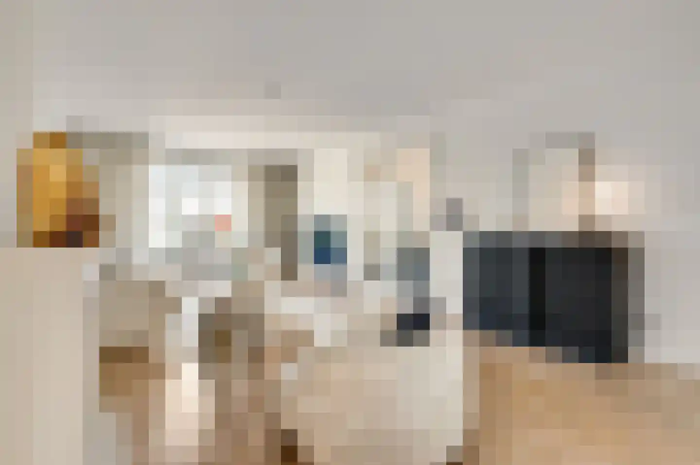 Blekerij 64 Maastricht thumbnail 5