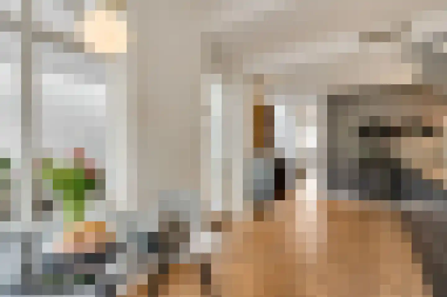 Blekerij 64 Maastricht thumbnail 7