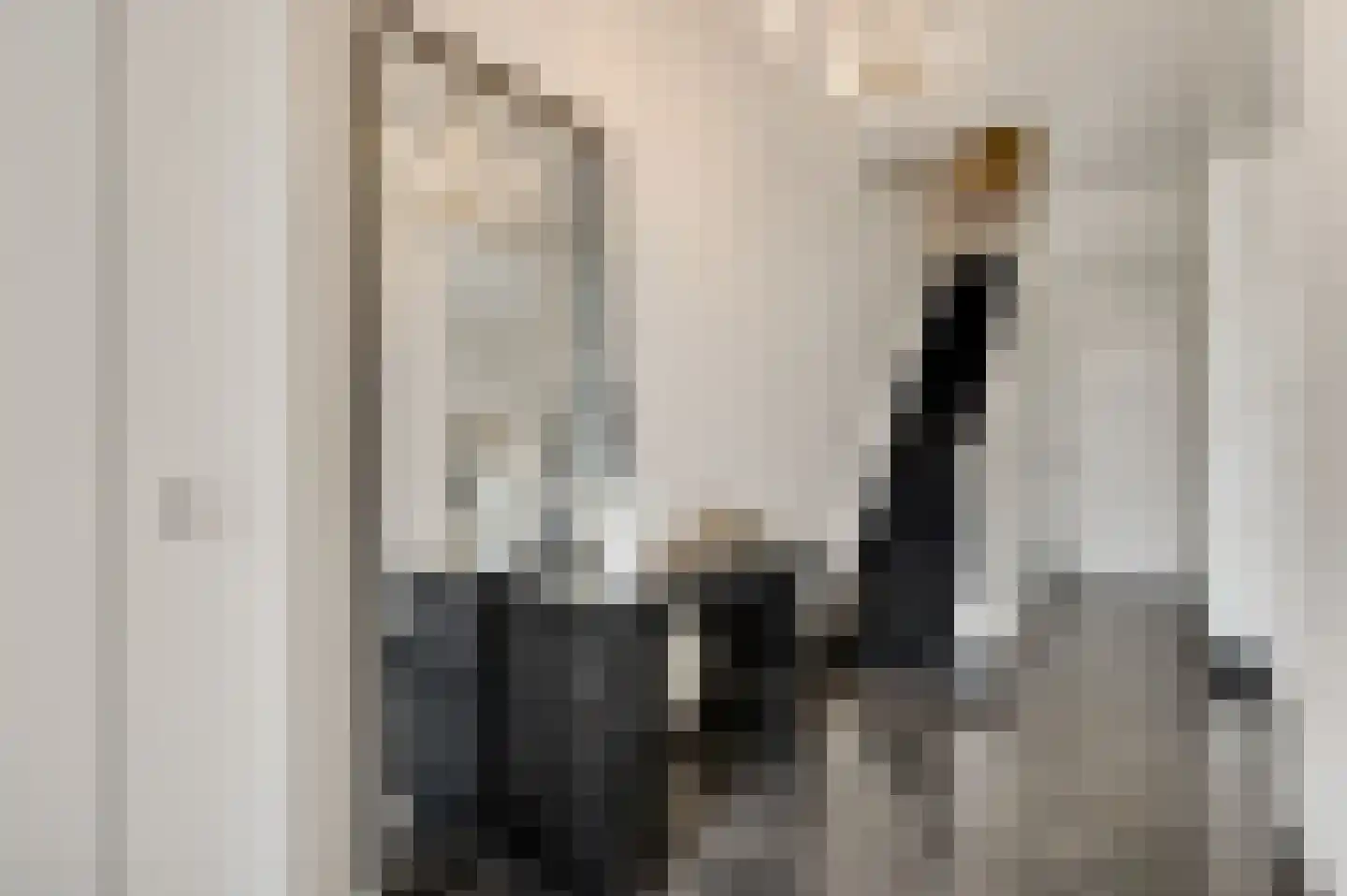 Blekerij 64 Maastricht thumbnail 9