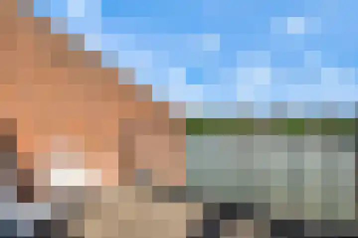 Blekerij 74 E Maastricht thumbnail 32