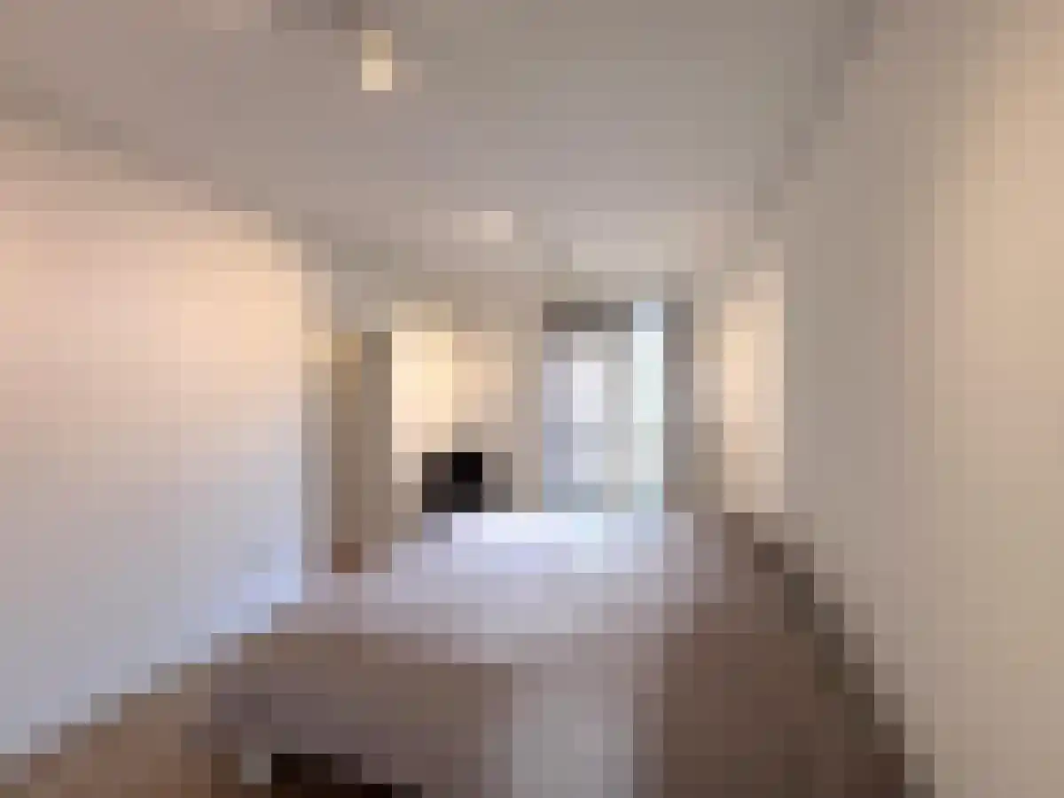 Blekerij 74 Maastricht thumbnail 6