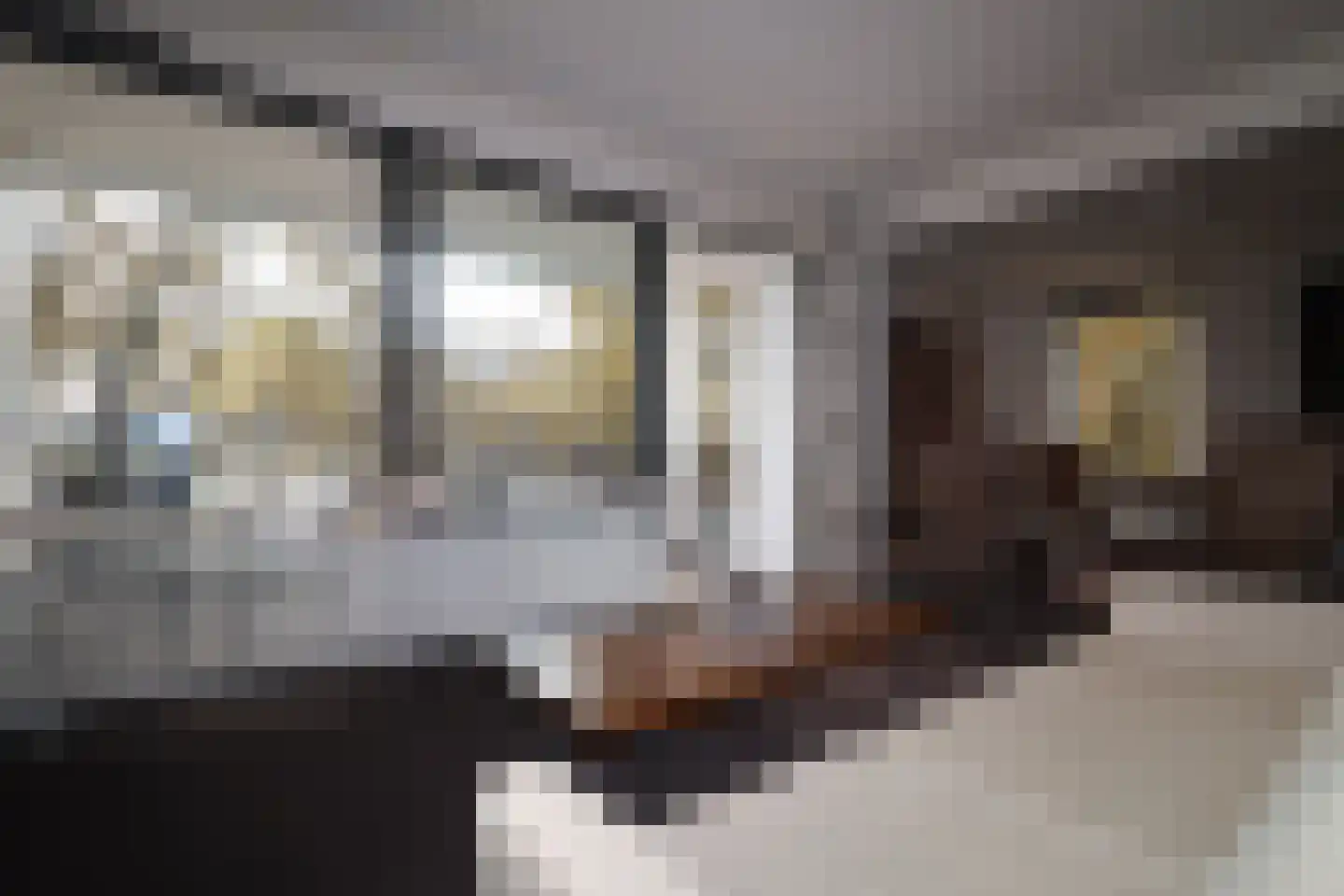 Blekerij 90 C Maastricht thumbnail 13