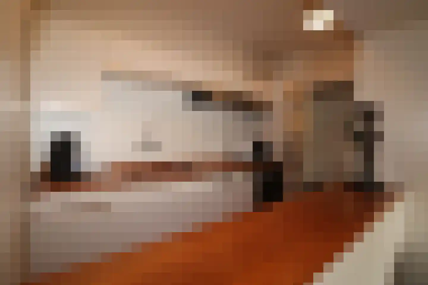 Blekerij 90 C Maastricht thumbnail 16