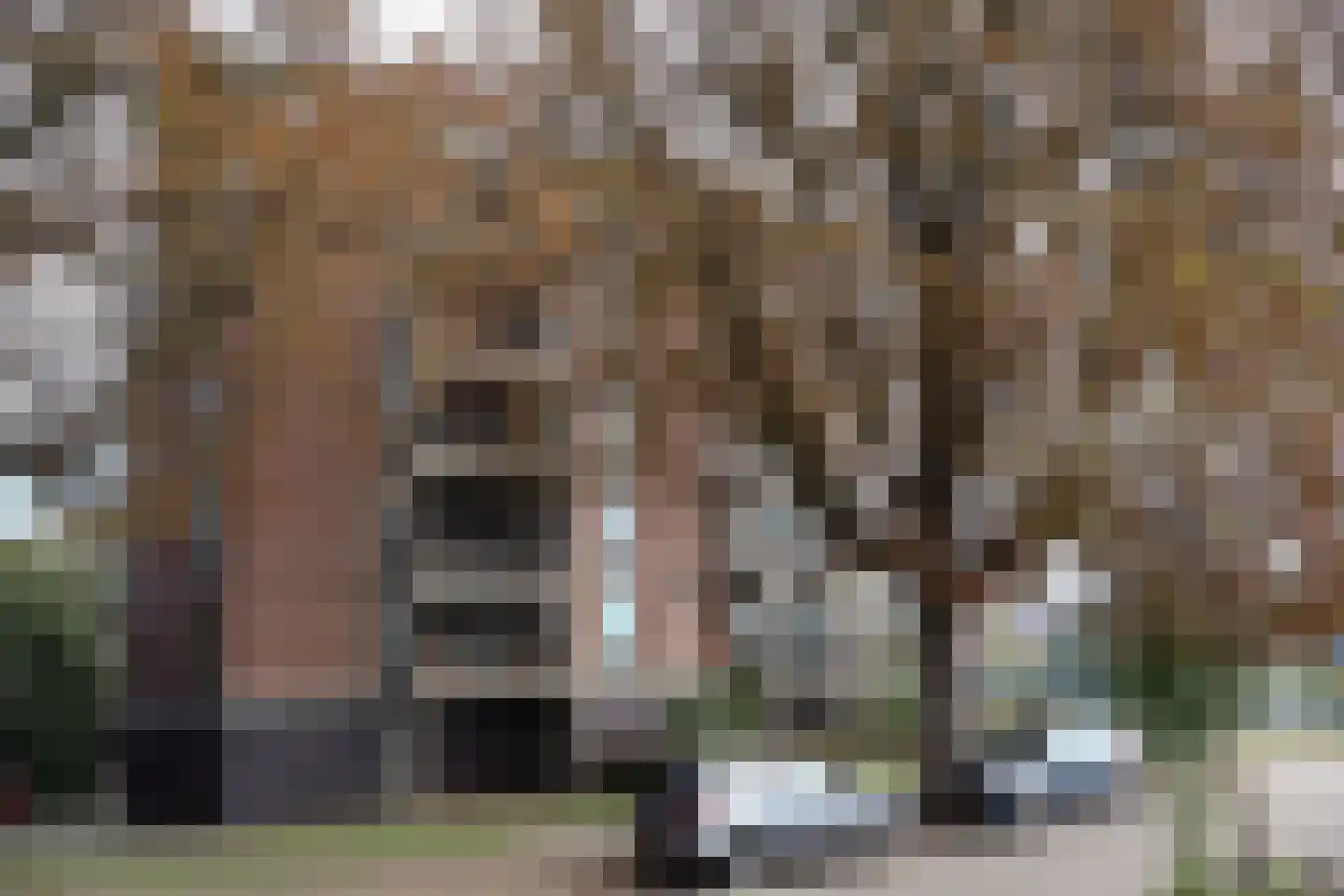 Blekerij 90 C Maastricht thumbnail 24