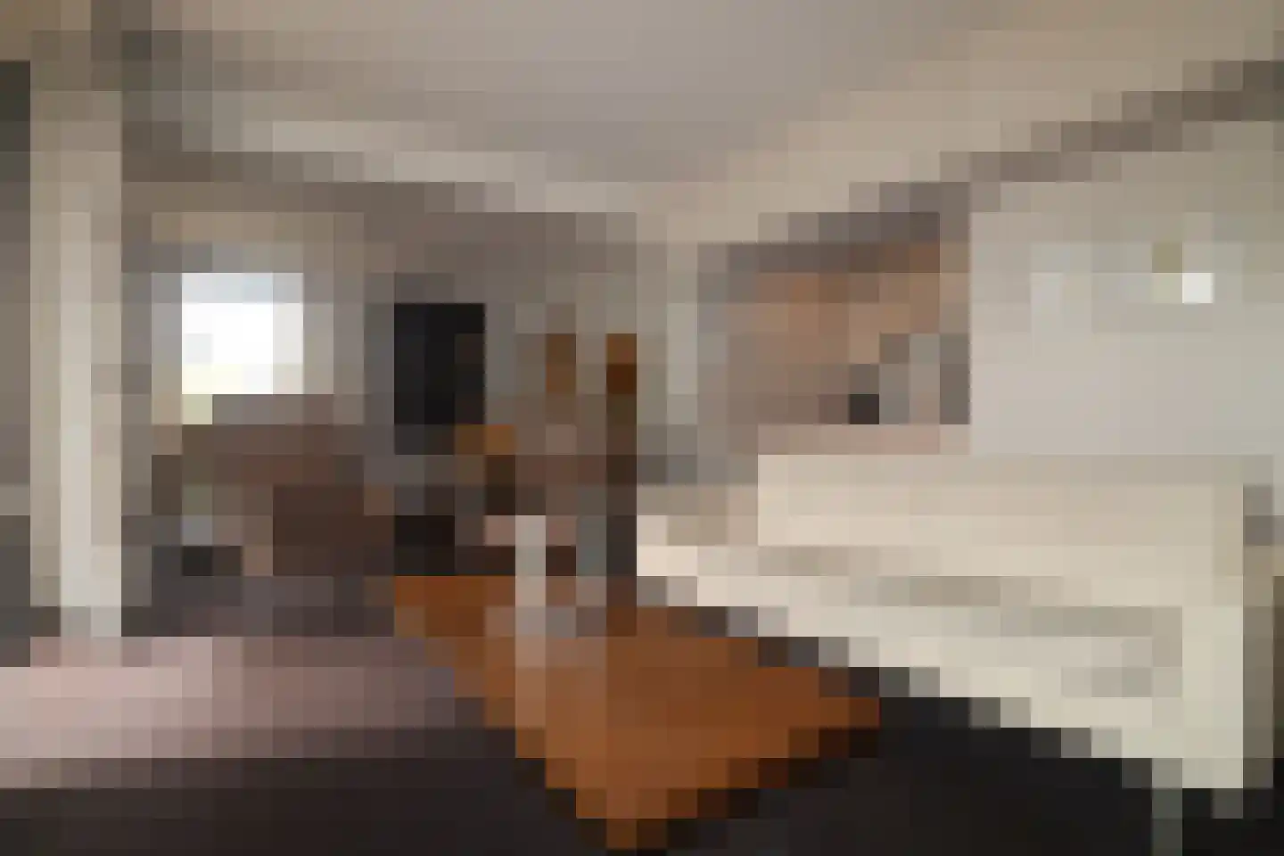 Blekerij 90 C Maastricht thumbnail 5