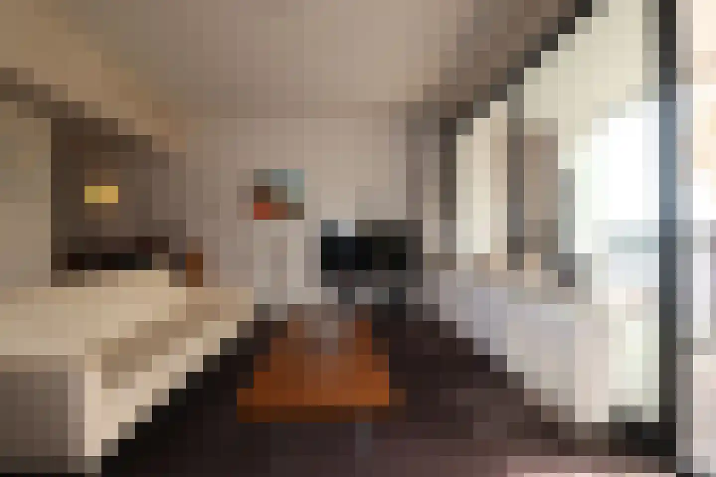Blekerij 90 C Maastricht thumbnail 6