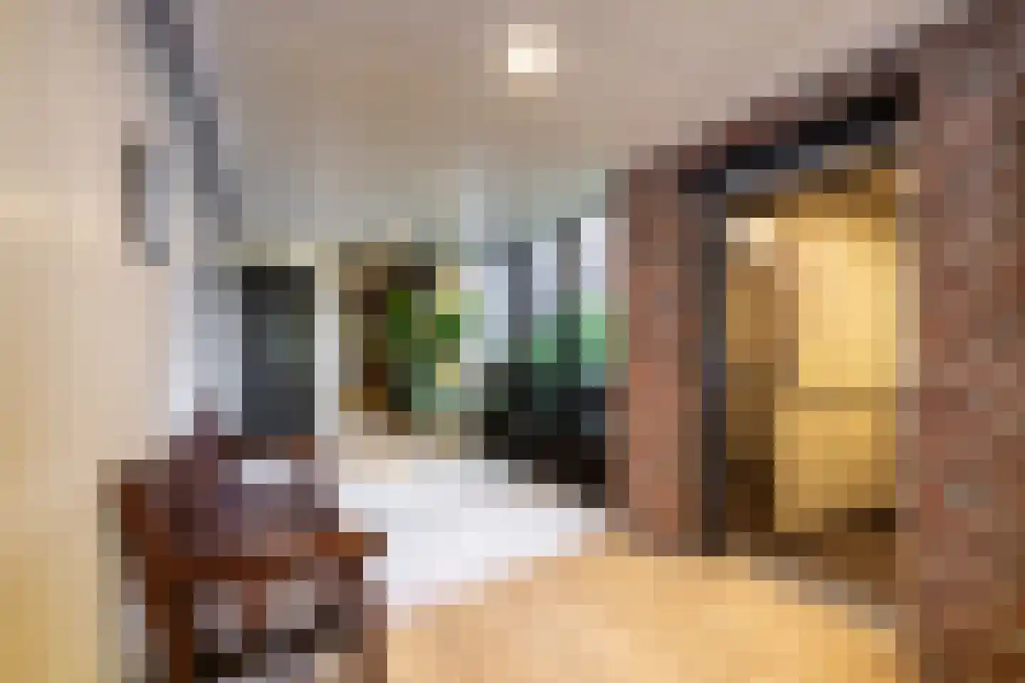 Blekerij 94 H Maastricht thumbnail 6
