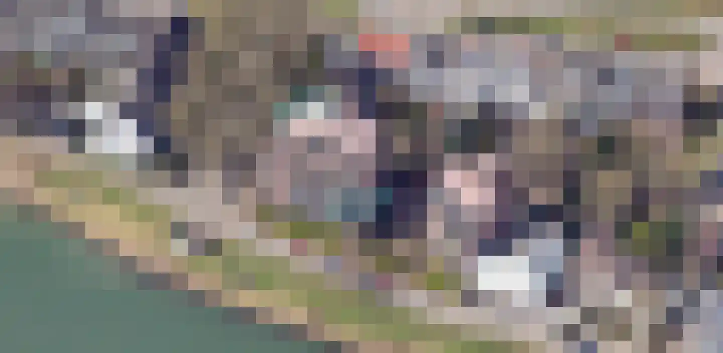 Blekerij 96 B Maastricht thumbnail 39