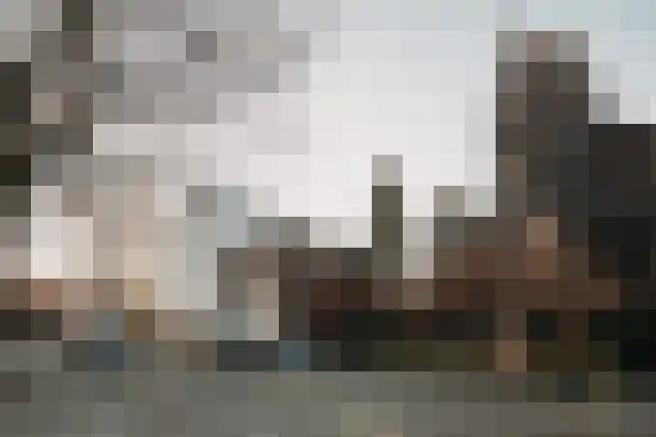 Blekersdijk 1 D Dordrecht thumbnail 31