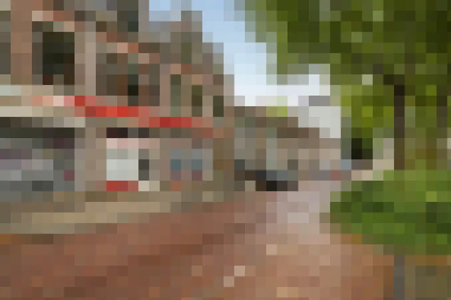 Blekersdijk 11 Dordrecht thumbnail 38
