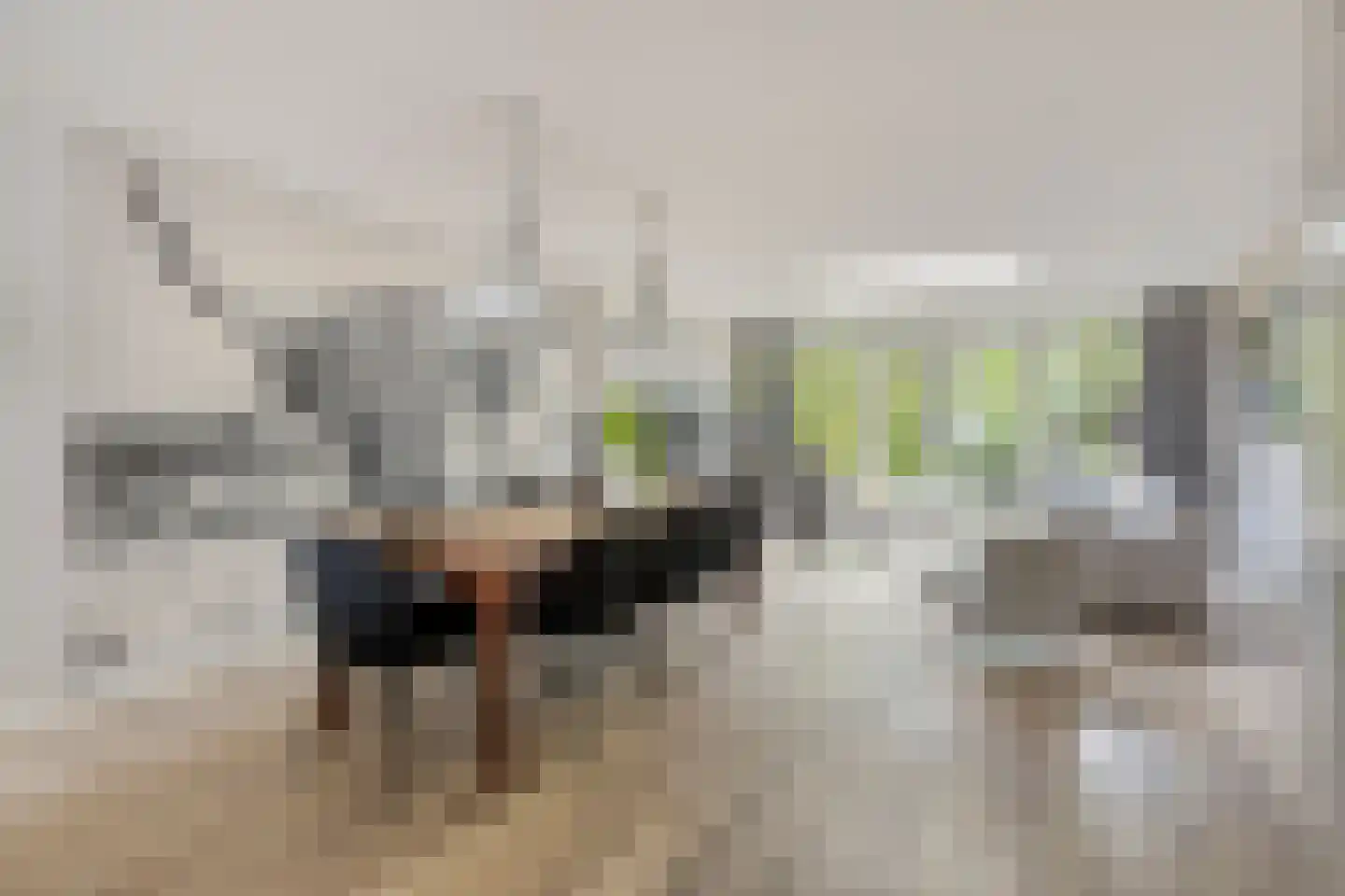 Blekershof 16 Beek thumbnail 14