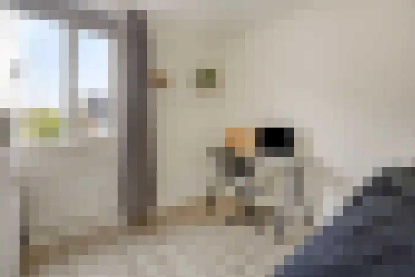 Blekershof 16 Beek thumbnail 25