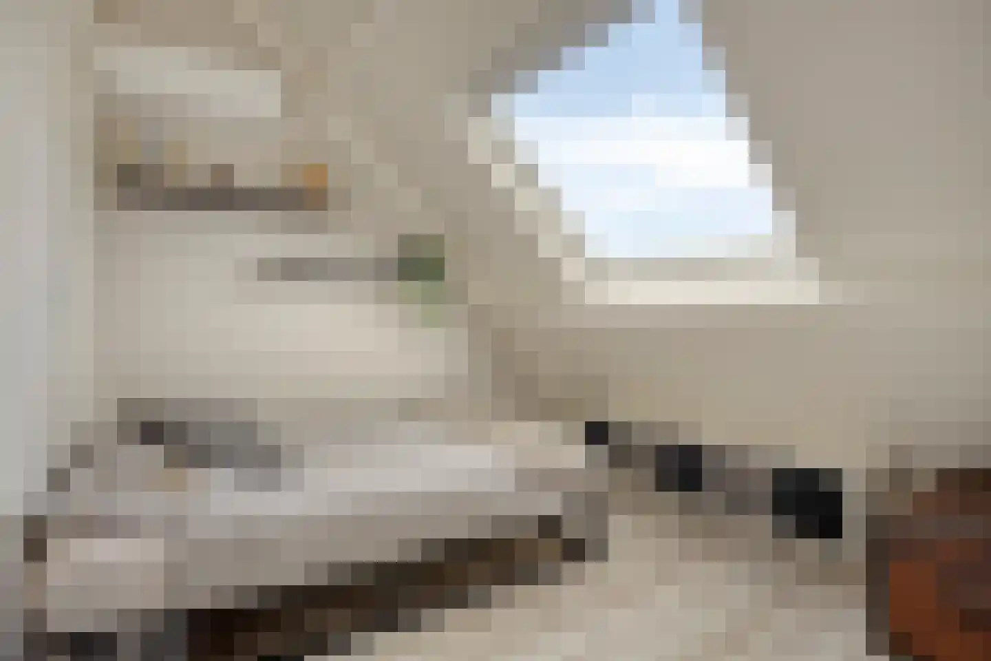 Blekershof 16 Beek thumbnail 28