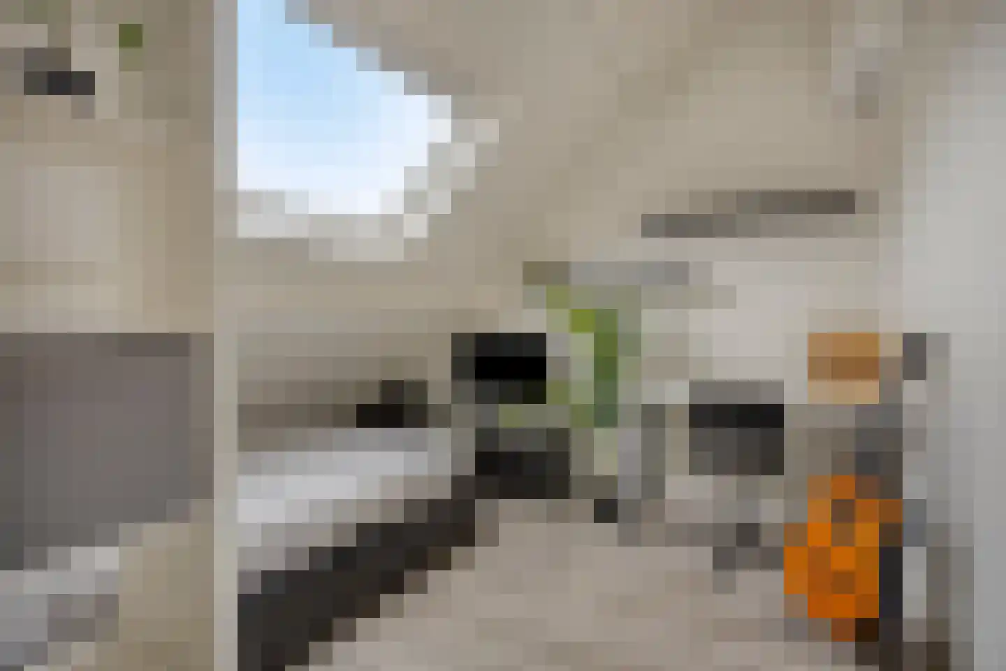 Blekershof 16 Beek thumbnail 29