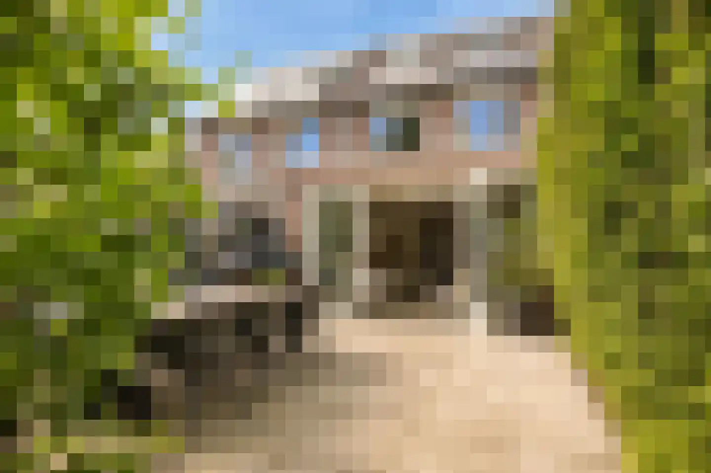 Blekershof 16 Beek thumbnail 31