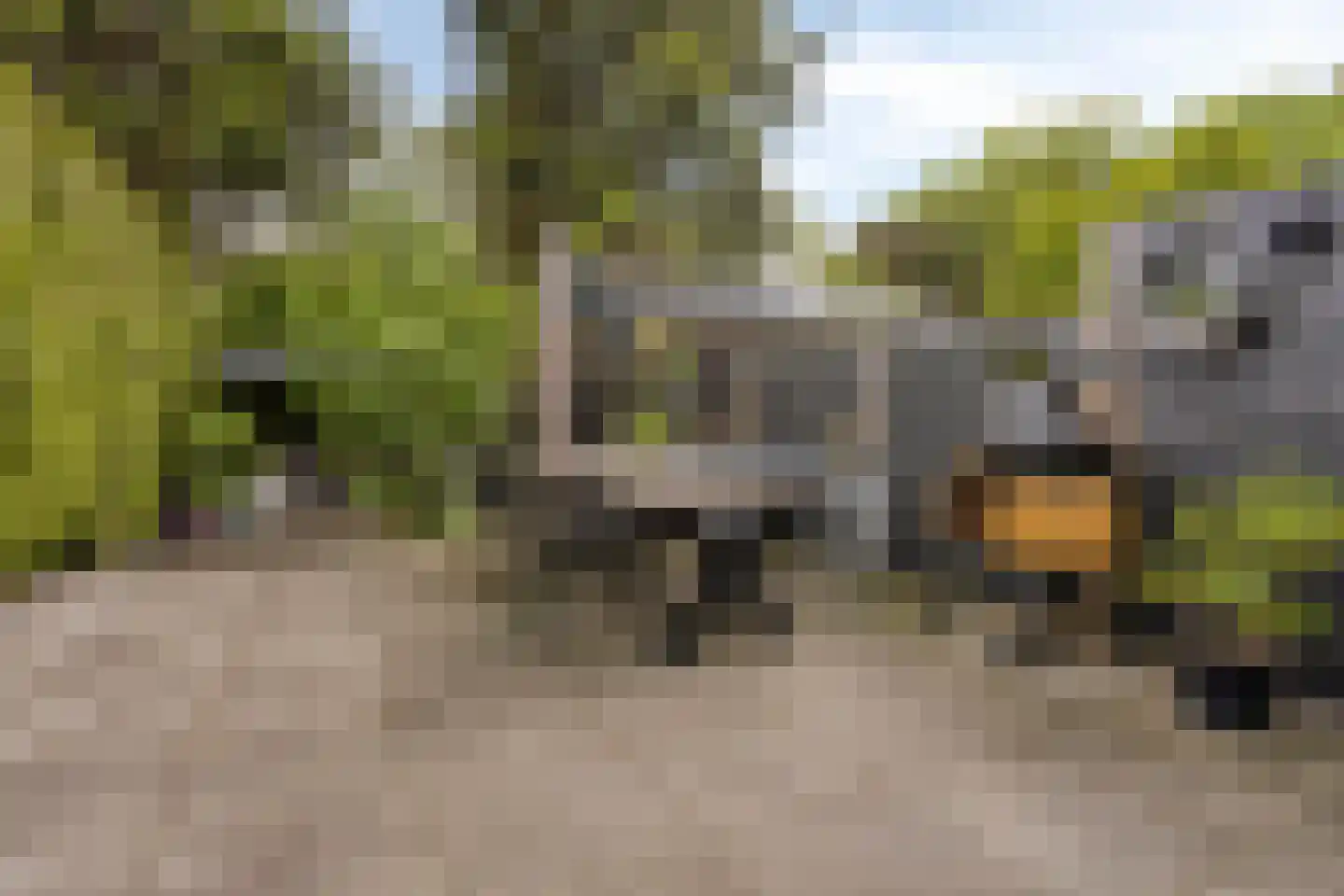 Blekershof 16 Beek thumbnail 32