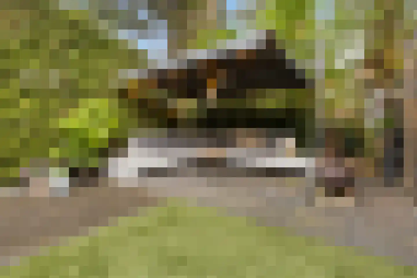 Blekershof 16 Beek thumbnail 33