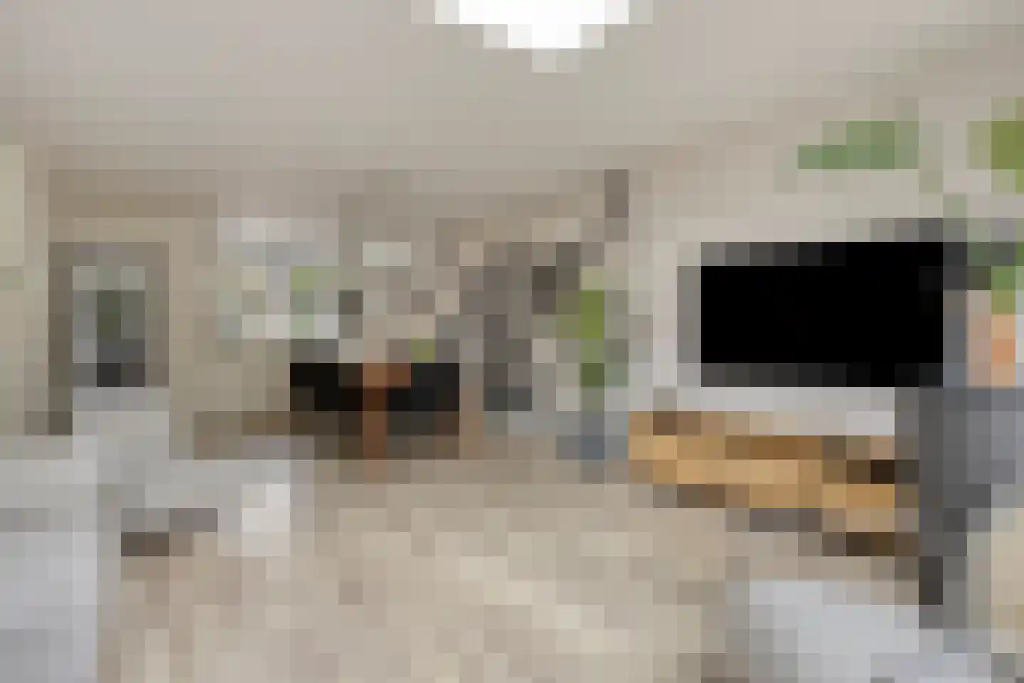 Blekershof 16 Beek thumbnail 8