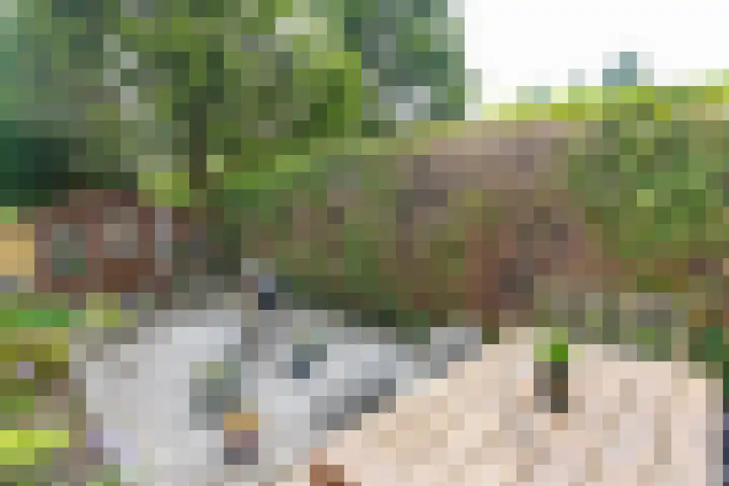Blekershof 18 Beek thumbnail 16
