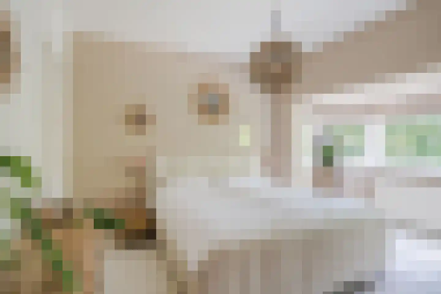 Blekerskade 3 Alkmaar thumbnail 29