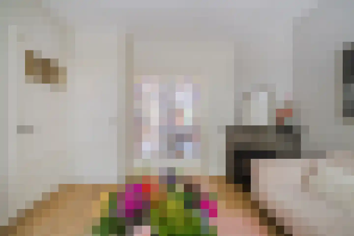 Blekerskade 3 Alkmaar thumbnail 6