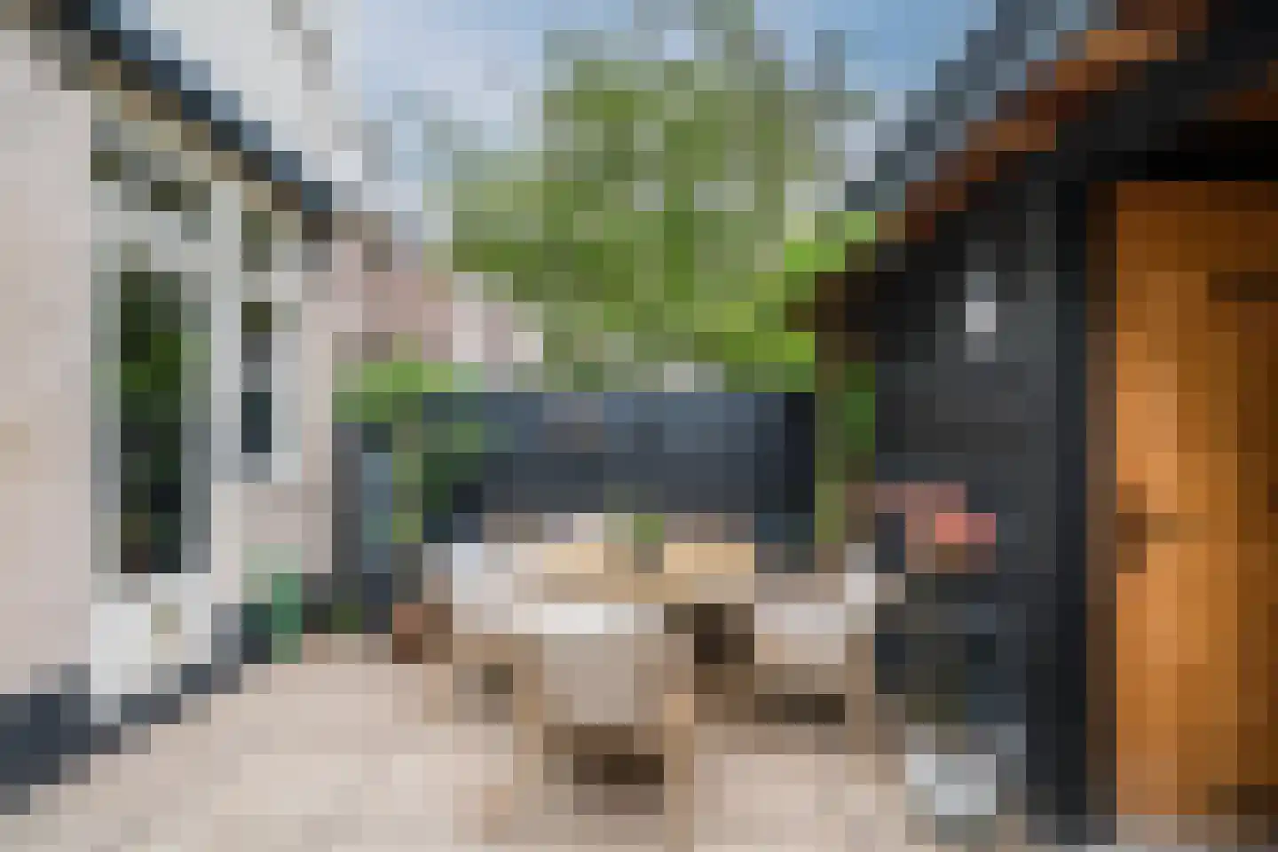 Blekerskade 3 Alkmaar thumbnail 61