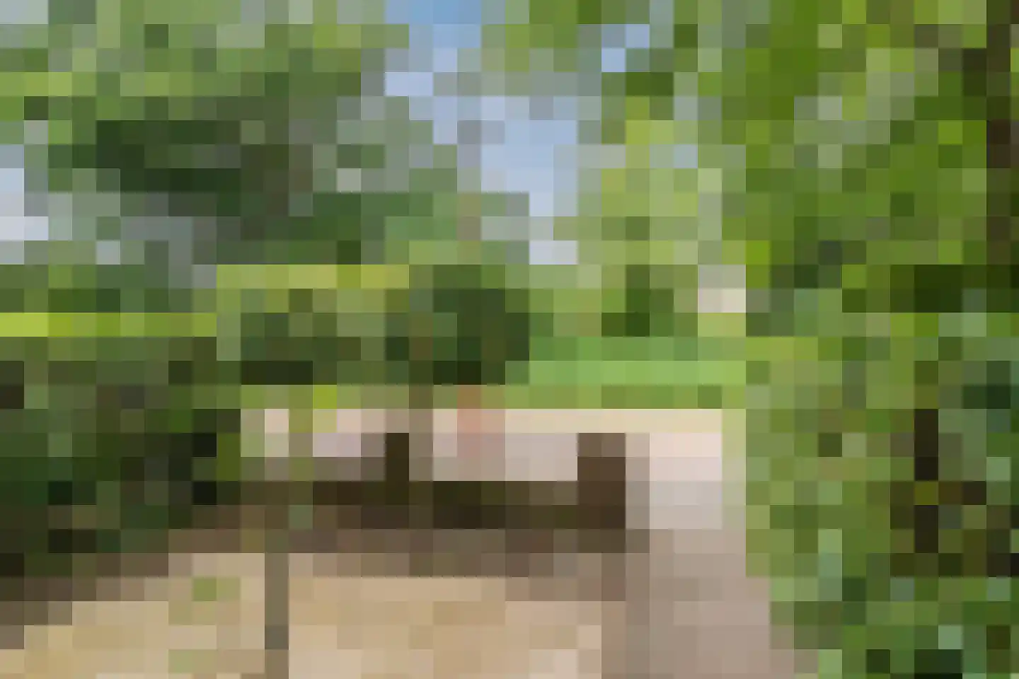 Blekerskade 3 Alkmaar thumbnail 73