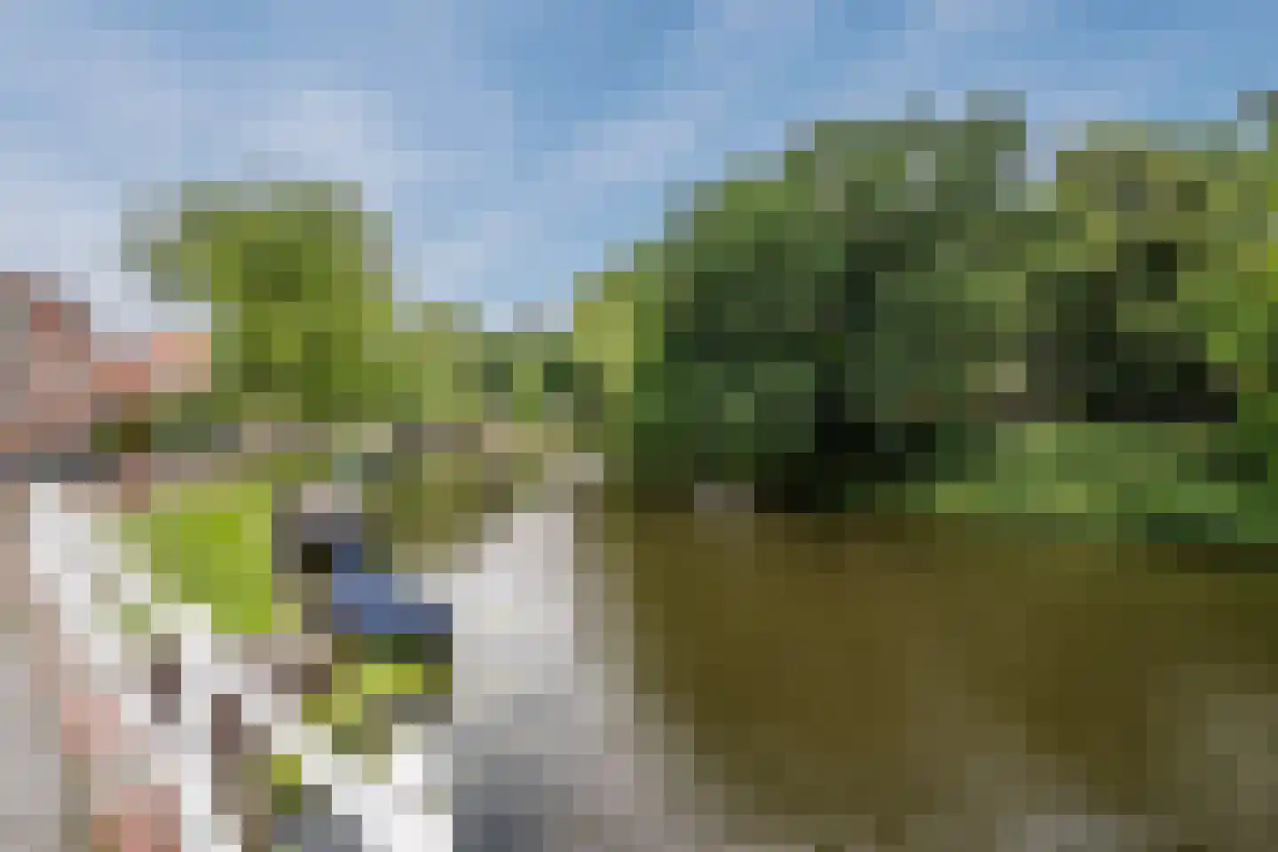Blekerskade 3 Alkmaar thumbnail 81