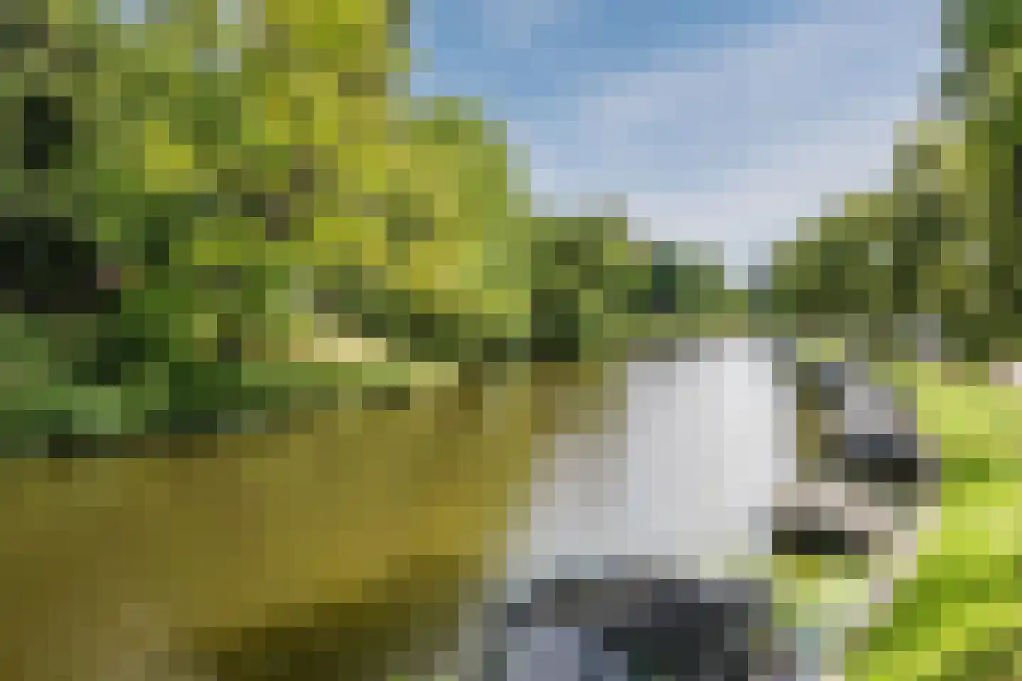 Blekerskade 3 Alkmaar thumbnail 82