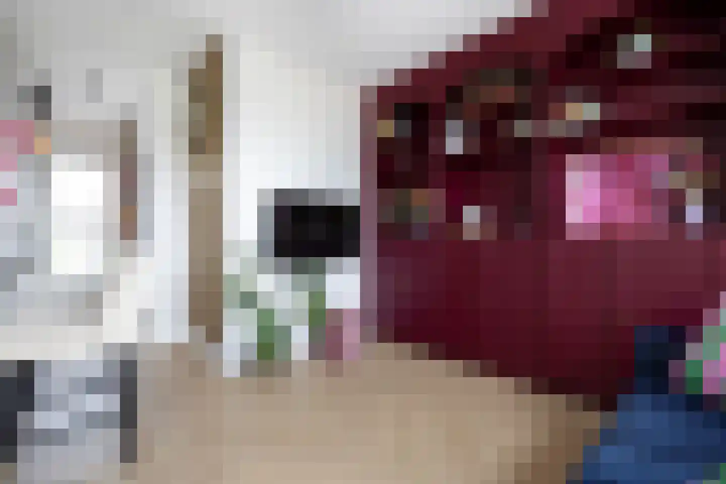 Blekerskade 37 Alkmaar thumbnail 13
