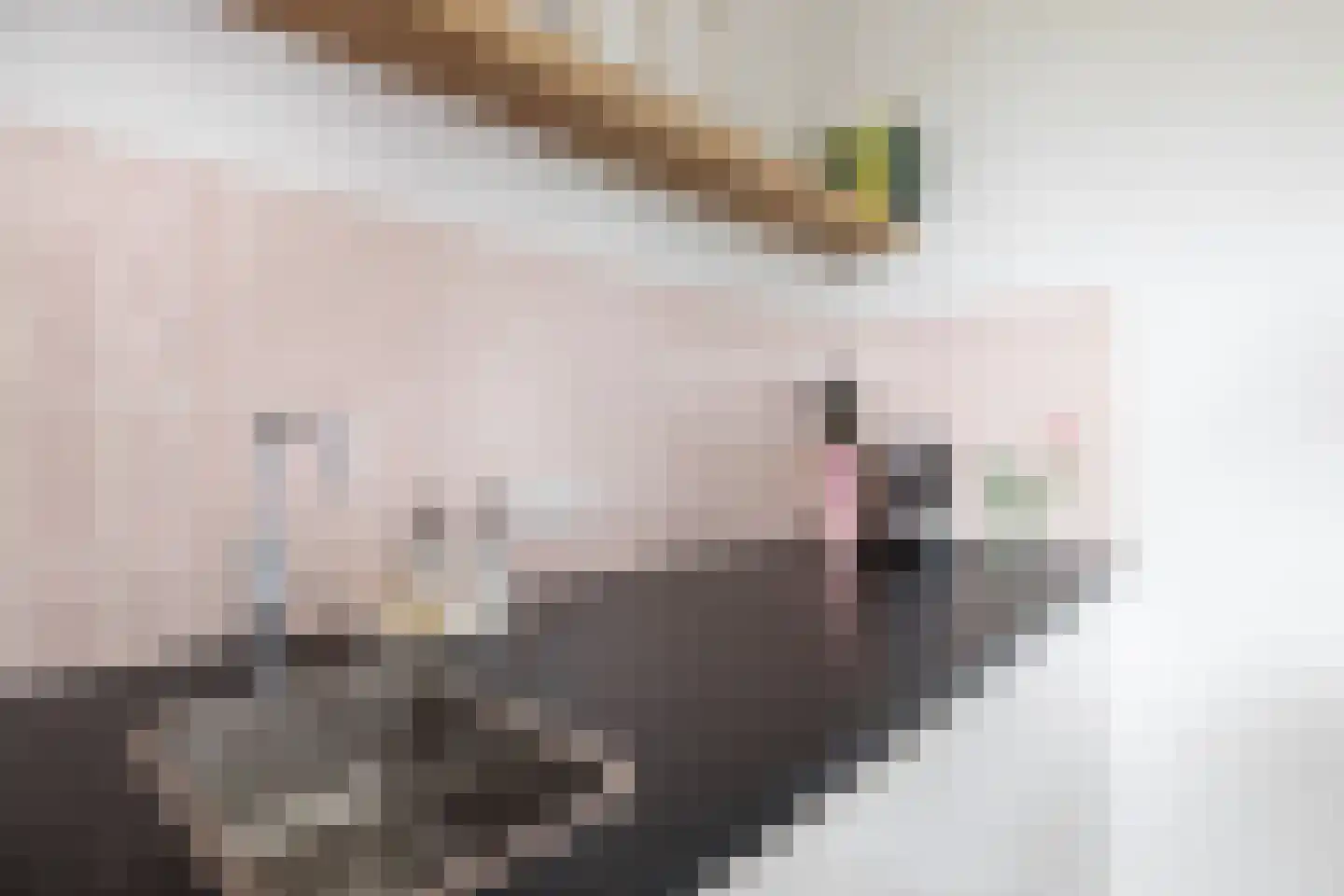 Blekerskade 37 Alkmaar thumbnail 23