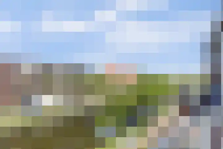 Blekerskade 44 Alkmaar thumbnail 12